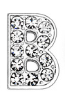 Rhinestone B - Beau Wear