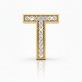 Rhinestone Gold T - Beau Wear
