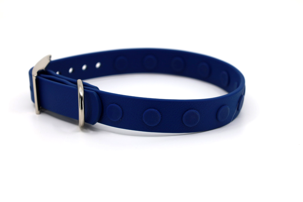 Blue Dog Collars - Beau Wear