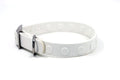White Dog Collars - Beau Wear