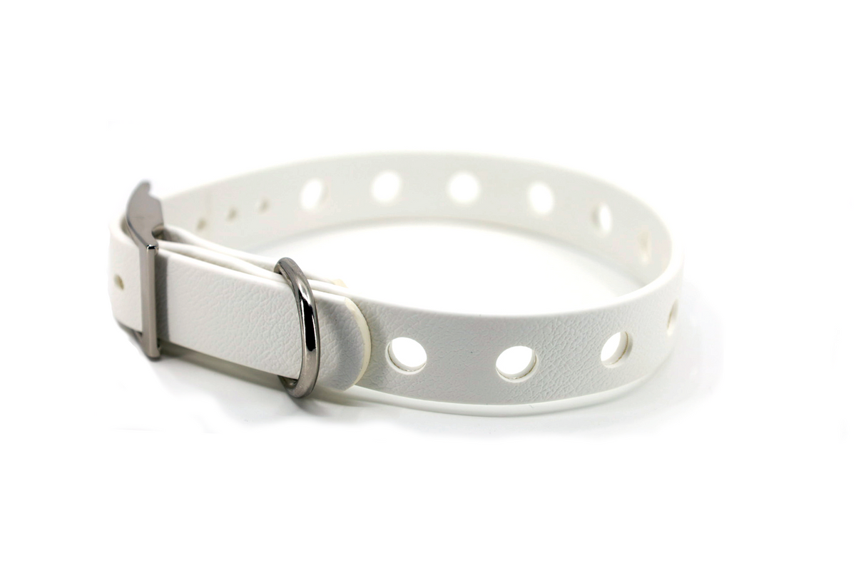White Dog Collars - Beau Wear